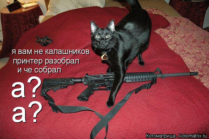 Котоматрица: я вам не калашников принтер разобрал и че собрал а? а?