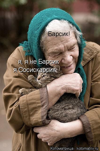 Котоматрица: Барсик! я, я не Барсик я Сосискарсик