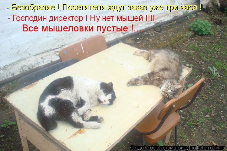 - Безобразие ! Посетители ждут заказ уже три часа ! - Господин директор ! Ну нет мышей !!!! Все мыше... Котоматрица: - Безобразие ! Посетители ждут заказ уже три часа ! - Господин директор ! Ну нет мышей !!!! Все мышеловки пустые !....