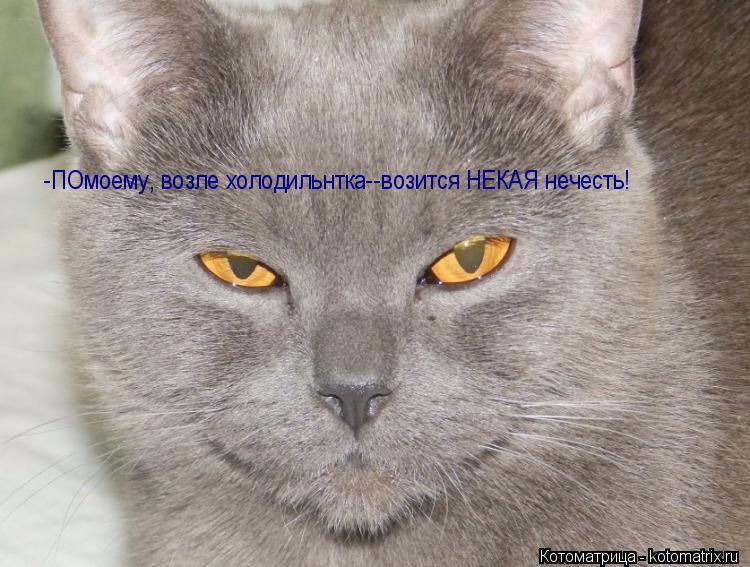 -ПОмоему, возле холодильнтка--возится НЕКАЯ нечесть!... Котоматрица: -ПОмоему, возле холодильнтка--возится НЕКАЯ нечесть!
