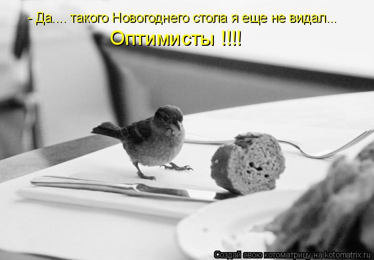 Котоматрица: - Да.... такого Новогоднего стола я еще не видал... Оптимисты !!!!