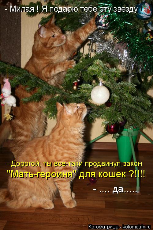 - Милая ! Я подарю тебе эту звезду ! - Дорогой, ты все-таки продвинул закон "Мать-героиня" для кошек ... Котоматрица: - Милая ! Я подарю тебе эту звезду ! - Дорогой, ты все-таки продвинул закон "Мать-героиня" для кошек ?!!!! - .... да.....