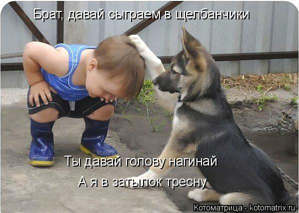 Брат, давай сыграем в щелбанчики Ты давай голову нагинай А я в затылок тресну... Котоматрица: Брат, давай сыграем в щелбанчики Ты давай голову нагинай А я в затылок тресну