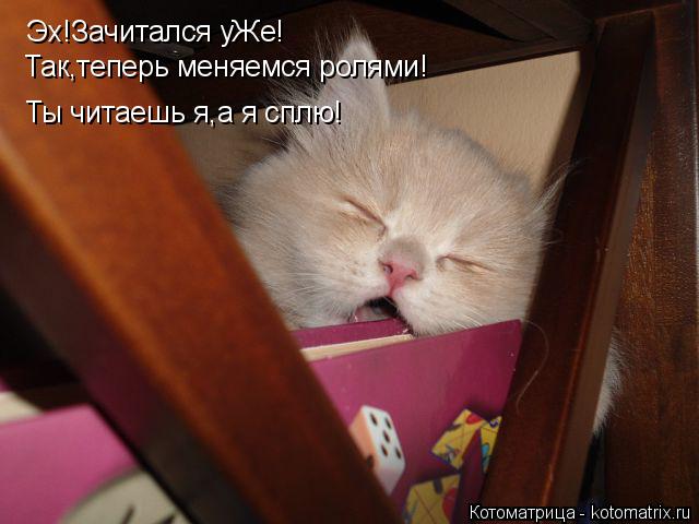 Эх!Зачитался уЖе! Так,теперь меняемся ролями! Ты читаешь я,а я сплю!... Котоматрица: Эх!Зачитался уЖе! Так,теперь меняемся ролями! Ты читаешь я,а я сплю!