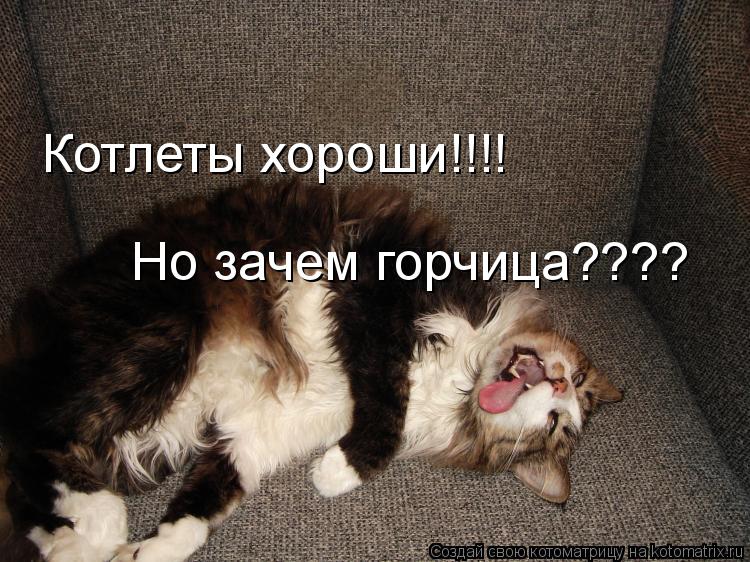 Котлеты хороши!!!! Но зачем горчица????... Котоматрица: Котлеты хороши!!!! Но зачем горчица????