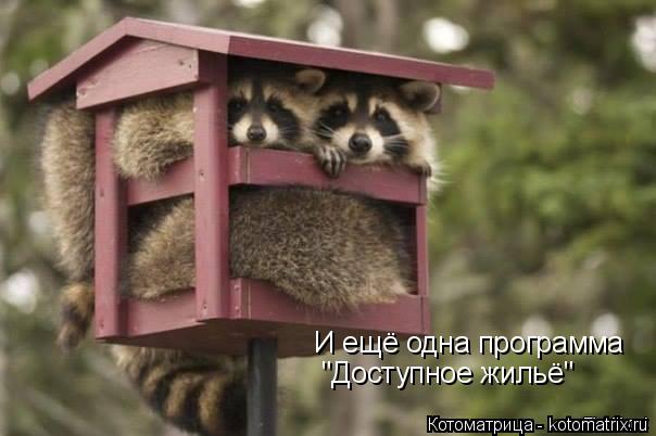 И ещё одна программа "Доступное жильё"... Котоматрица: И ещё одна программа "Доступное жильё"