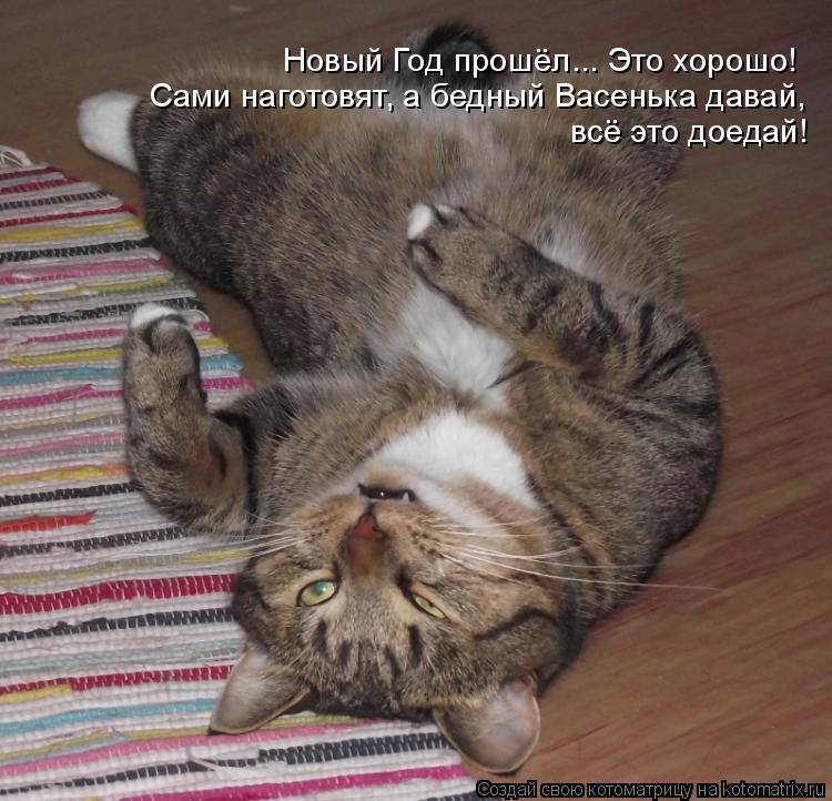 Новый Год прошёл... Это хорошо! Сами наготовят, а бедный Васенька давай, всё это доедай!... Котоматрица: Новый Год прошёл... Это хорошо! Сами наготовят, а бедный Васенька давай, всё это доедай!
