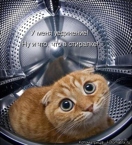 Котоматрица: У меня уединение! Ну и что, что в стиралке!