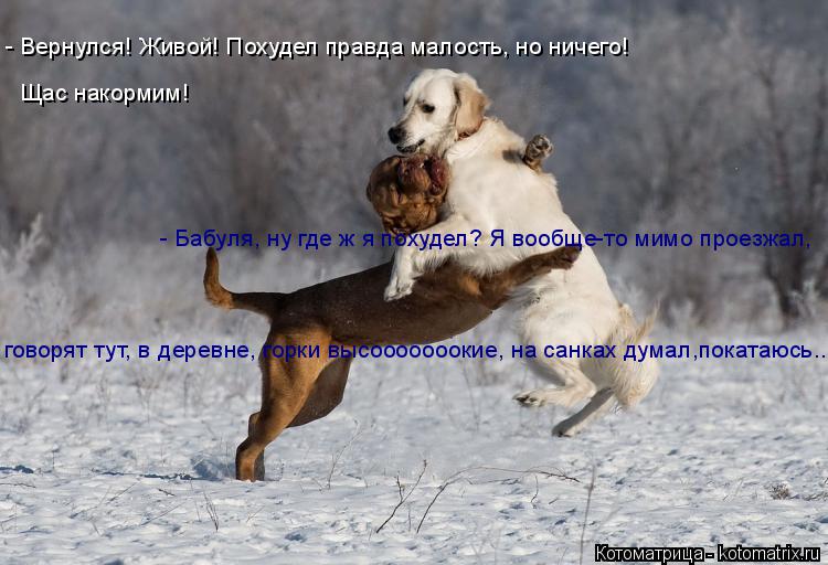 - Вернулся! Живой! Похудел правда малость, но ничего! Щас накормим! - Бабуля, ну где ж я похудел? Я ... Котоматрица: - Вернулся! Живой! Похудел правда малость, но ничего! Щас накормим! - Бабуля, ну где ж я похудел? Я вообще-то мимо проезжал, говорят тут, в дере