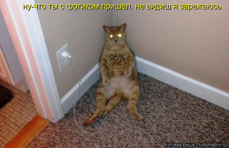 ну-что ты с фотиком пришёл, не видиш я зарежаюсь 95%... Котоматрица: ну-что ты с фотиком пришёл, не видиш я зарежаюсь 95%