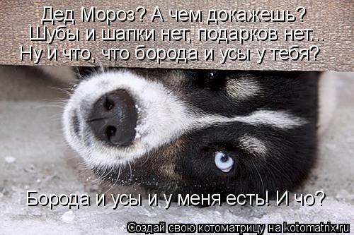 Дед Мороз? А чем докажешь? Шубы и шапки нет, подарков нет... Борода и усы и у меня есть! И чо? Ну и ч... Котоматрица: Дед Мороз? А чем докажешь? Шубы и шапки нет, подарков нет... Борода и усы и у меня есть! И чо? Ну и что, что борода и усы у тебя?
