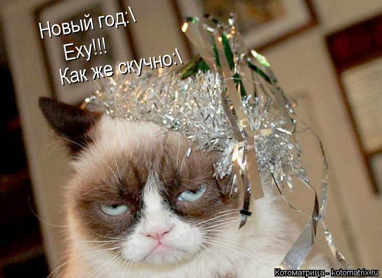Котоматрица: Новый год:\ Еху!!! Как же скучно:\