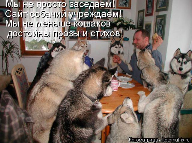 Котоматрица: Мы не просто заседаем! Сайт собачий учреждаем! достойны прозы и стихов! Мы не меньше кошаков