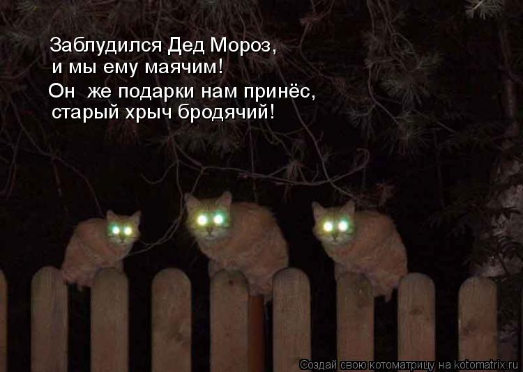 Заблудился Дед Мороз, и мы ему маячим! старый хрыч бродячий! Он же подарки нам принёс,... Котоматрица: Заблудился Дед Мороз, и мы ему маячим! старый хрыч бродячий! Он же подарки нам принёс,