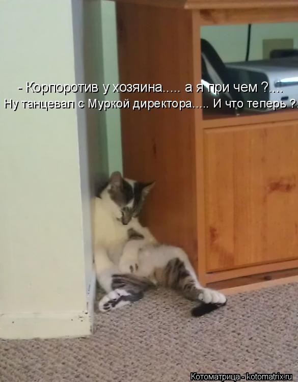Котоматрица: - Корпоротив у хозяина..... а я при чем ?.... Ну танцевал с Муркой директора..... И что теперь ?....