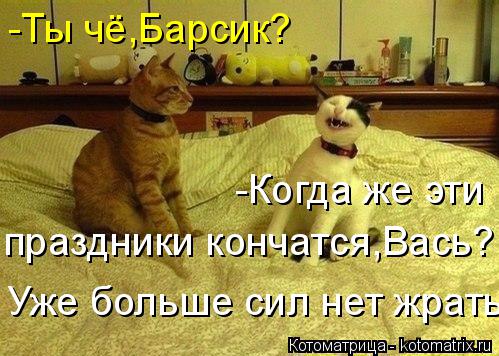Котоматрица: -Ты чё,Барсик? -Когда же эти праздники кончатся,Вась? Уже больше сил нет жрать