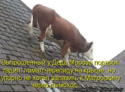 через дымоход. упорно не хотел залазить к Матроскину гадил, ломал черепицу на крыше, но Выпрошенный у... Котоматрица: через дымоход. упорно не хотел залазить к Матроскину гадил, ломал черепицу на крыше, но Выпрошенный у Деда Мороза подарок