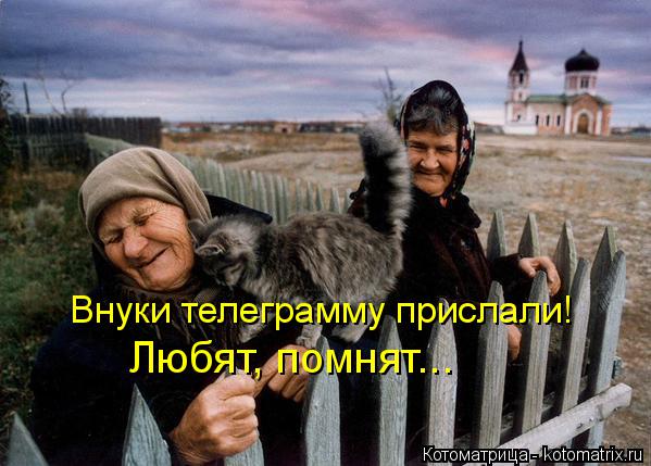 Внуки телеграмму прислали! Любят, помнят...... Котоматрица: Внуки телеграмму прислали! Любят, помнят...