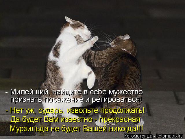 Котоматрица: - Милейший, найдите в себе мужество - Нет уж, сударь, извольте продолжать! Да будет Вам известно - прекрасная Мурзильда не будет Вашей никогда