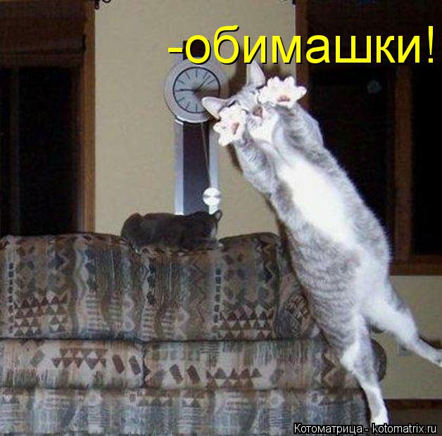 Котоматрица: -обимашки!