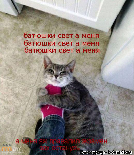 батюшки свет а меня батюшки свет а меня батюшки свет а меня а меня яж правалил экзамен ээх останусь... Котоматрица: батюшки свет а меня батюшки свет а меня батюшки свет а меня а меня яж правалил экзамен ээх останусь