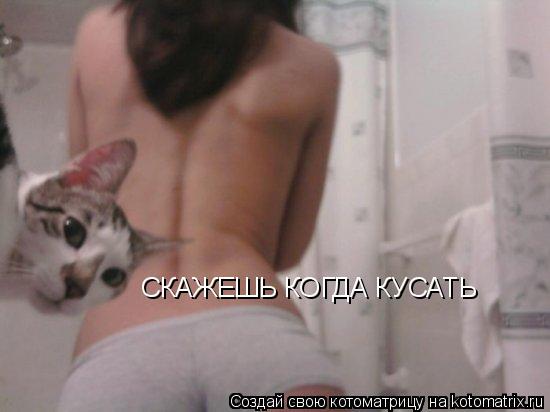 Котоматрица: СКАЖЕШЬ КОГДА КУСАТЬ