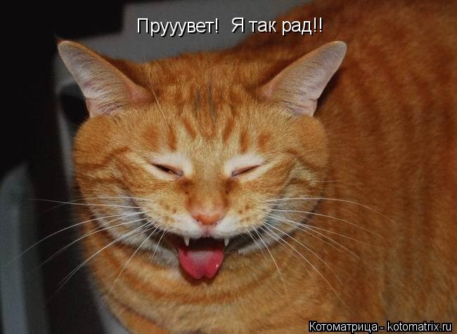 Прууувет! Я так рад!!... Котоматрица: Прууувет! Я так рад!!