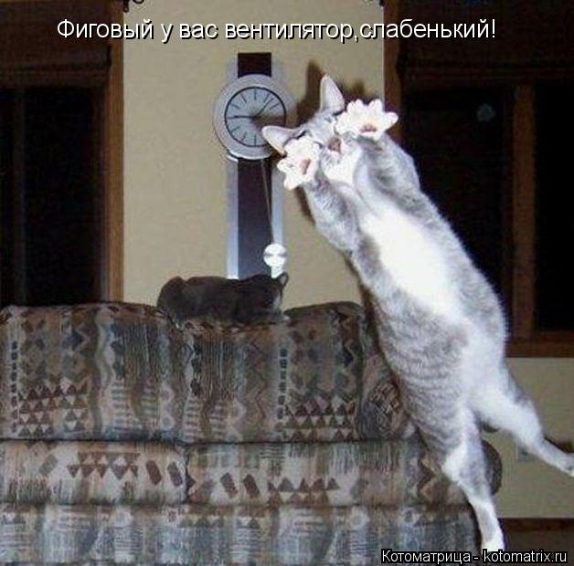 Котоматрица: Фиговый у вас вентилятор,слабенький!