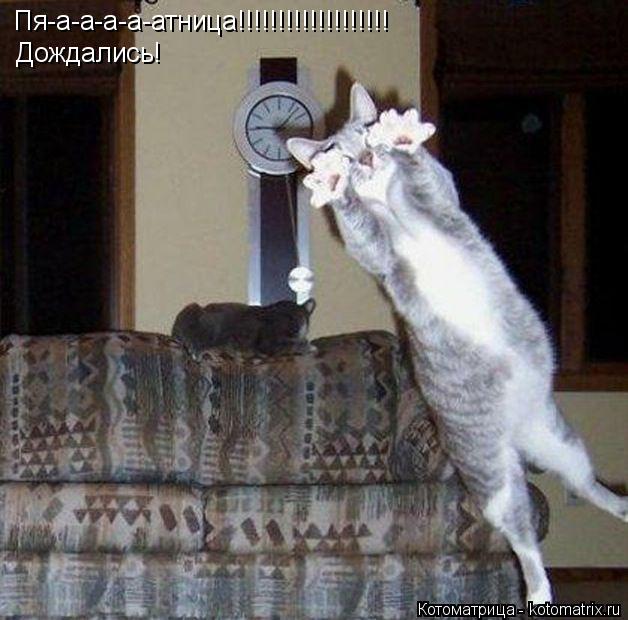 Котоматрица: Пя-а-а-а-а-атница!!!!!!!!!!!!!!!!!!! Дождались!