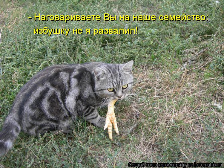 Котоматрица: - Наговариваете Вы на наше семейство: избушку не я развалил!