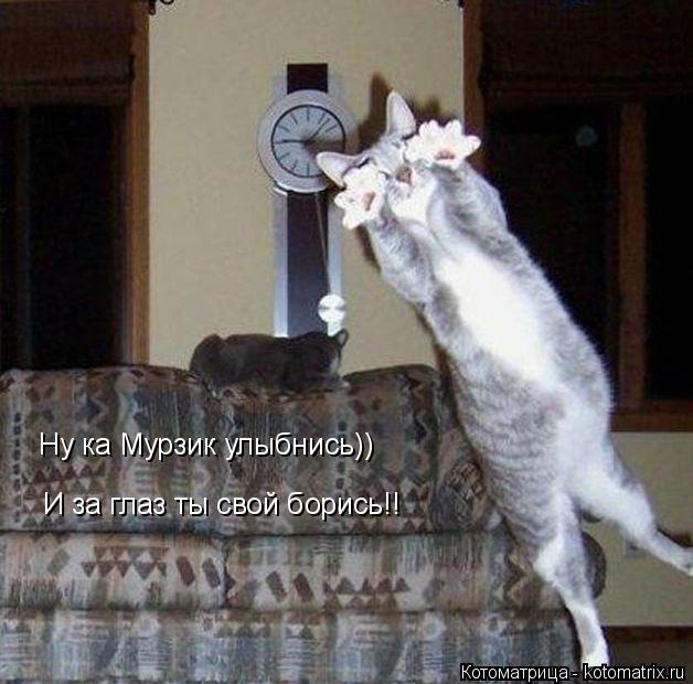 Котоматрица: Ну ка Мурзик улыбнись)) И за глаз ты свой борись!!