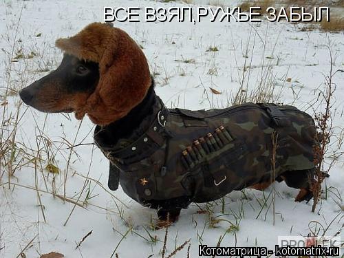 Котоматрица: ВСЕ ВЗЯЛ,РУЖЬЕ ЗАБЫЛ
