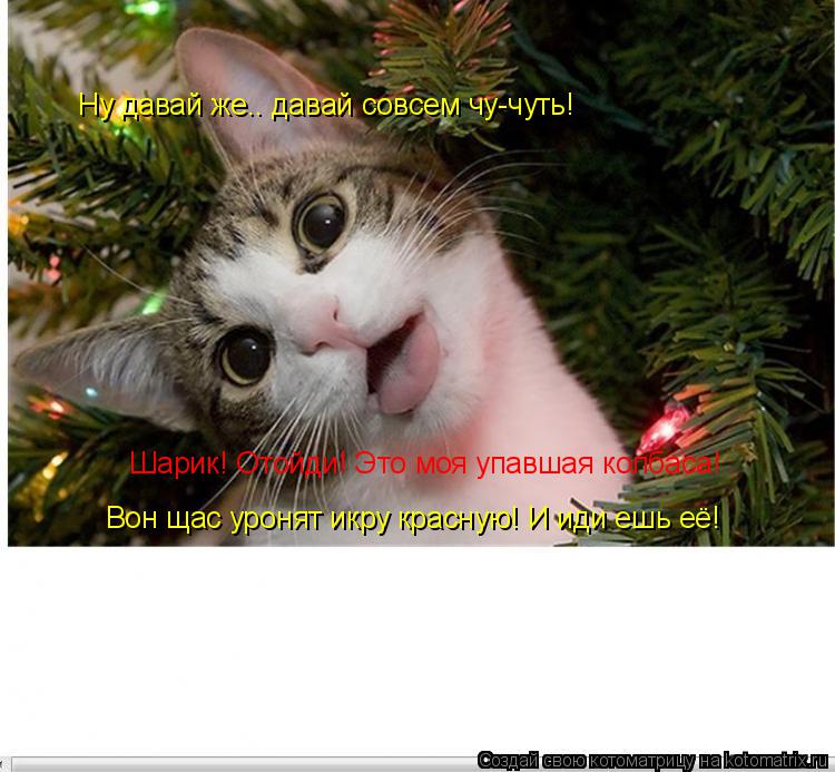 Котоматрица: Ну давай же.. давай совсем чу-чуть! Шарик! Отойди! Это моя упавшая колбаса! Вон щас уронят икру красную! И иди ешь её!
