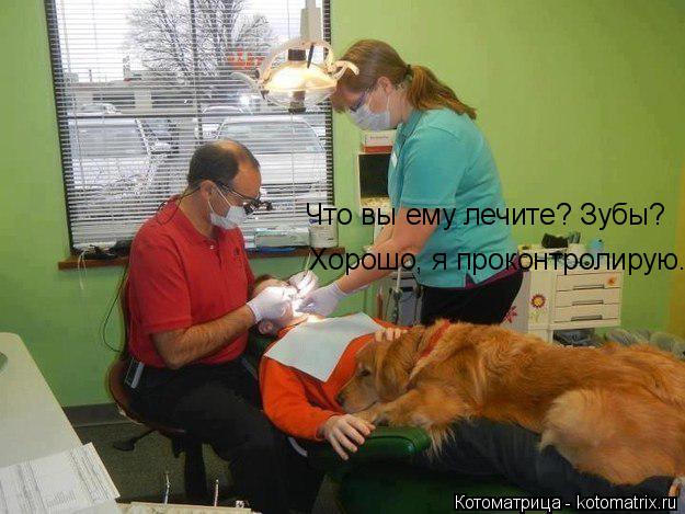 Котоматрица: Что вы ему лечите? Зубы? Хорошо, я проконтролирую.