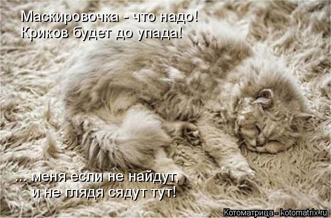 Котоматрица: Маскировочка - что надо! Криков будет до упада! ... меня если не найдут,  и не глядя сядут тут!