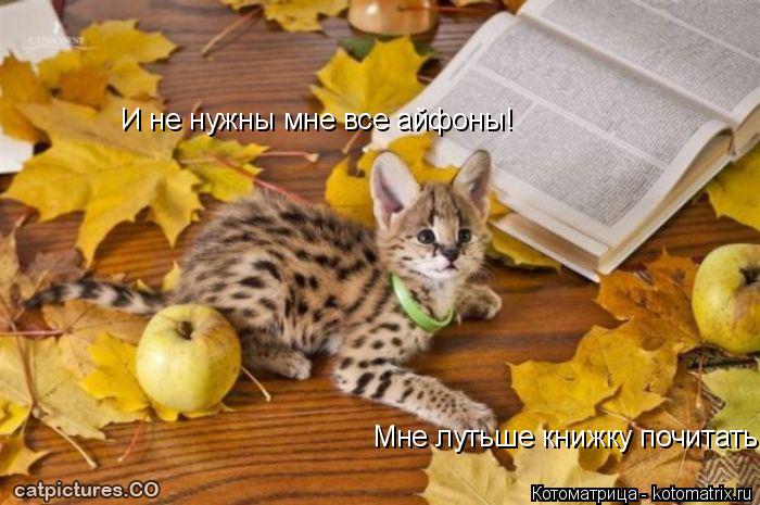 Котоматрица: И не нужны мне все айфоны! Мне лутьше книжку почитать!