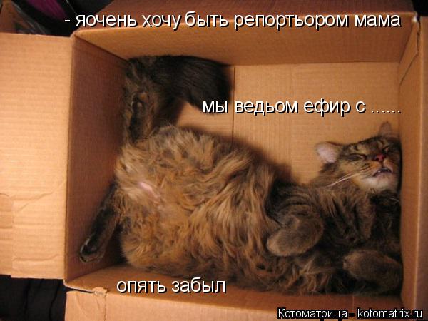 Котоматрица: - яочень хочу быть репортьором мама  мы ведьом ефир с ......   опять забыл