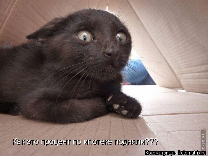 Котоматрица: Как это процент по ипотеке подняли???