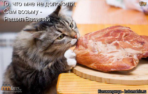 Котоматрица: То, что мне не доложили,  Сам возьму - Решил Василий