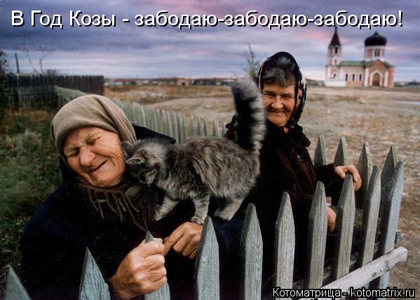 Котоматрица: В Год Козы - забодаю-забодаю-забодаю!