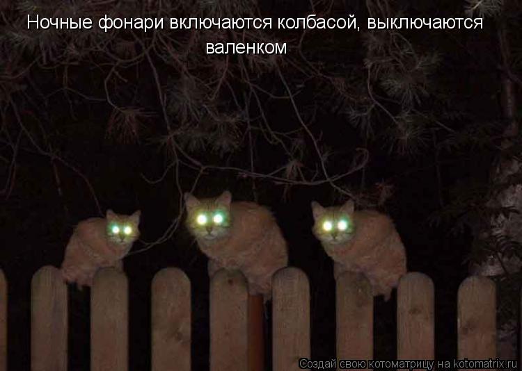 Котоматрица: Ночные фонари включаются колбасой, выключаются валенком