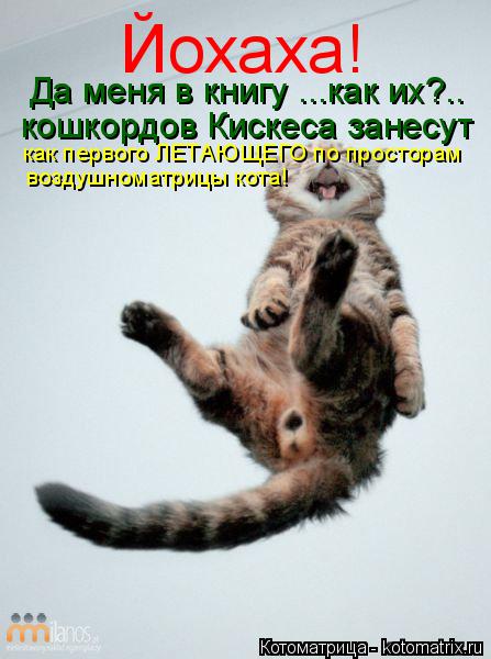 Котоматрица: Йохаха! Да меня в книгу ...как их?..  кошкордов Кискеса занесут  как первого ЛЕТАЮЩЕГО по просторам воздушноматрицы кота!