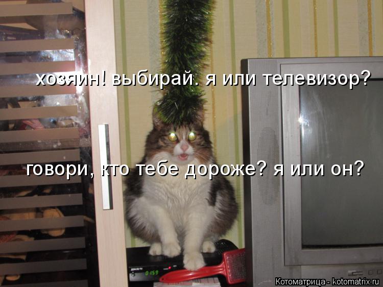 хозяин! выбирай. я или телевизор? говори, кто тебе дороже? я или он?... Котоматрица: хозяин! выбирай. я или телевизор? говори, кто тебе дороже? я или он?
