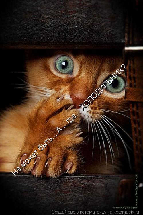 Котоматрица: Не может быть... А... где... ХОЛОДИЛЬНИК?