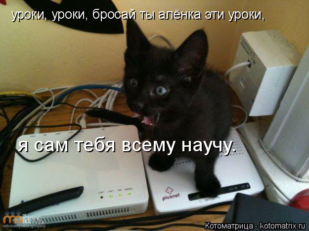 Котоматрица: уроки, уроки, бросай ты алёнка эти уроки, я сам тебя всему научу.