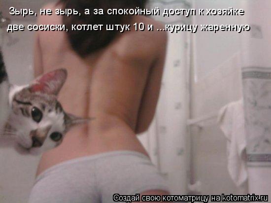 Котоматрица: Зырь, не зырь, а за спокойный доступ к хозяйке две сосиски, котлет штук 10 и ...курицу жаренную