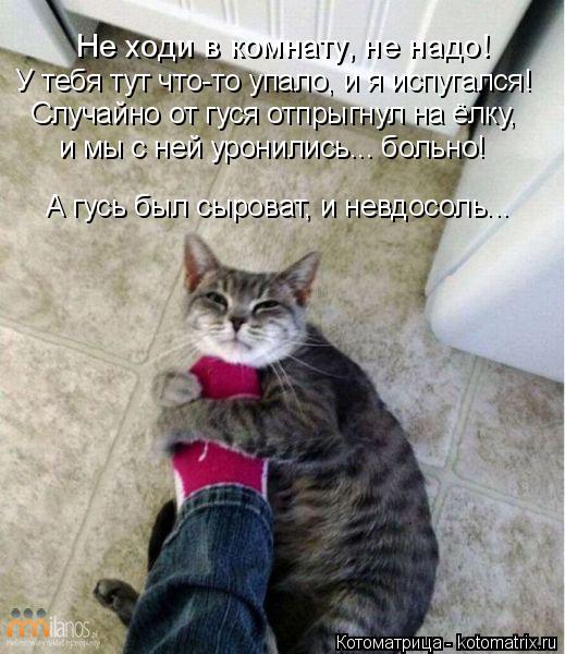 Не ходи в комнату, не надо! У тебя тут что-то упало, и я испугался! Случайно от гуся отпрыгнул на ёлк... Котоматрица: Не ходи в комнату, не надо! У тебя тут что-то упало, и я испугался! Случайно от гуся отпрыгнул на ёлку, и мы с ней уронились... больно! А гусь был