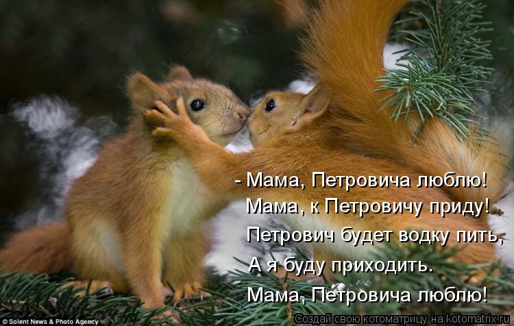 Котоматрица: - Мама, Петровича люблю! Мама, к Петровичу приду! Петрович будет водку пить, А я буду приходить. Мама, Петровича люблю!