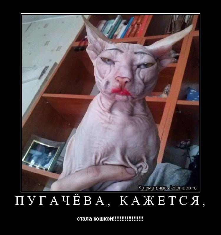 ПУГАЧЁВА, КАЖЕТСЯ, стала кошкой!!!!!!!!!!!!!!!!!!... Котоматрица: ПУГАЧЁВА, КАЖЕТСЯ, стала кошкой!!!!!!!!!!!!!!!!!!
