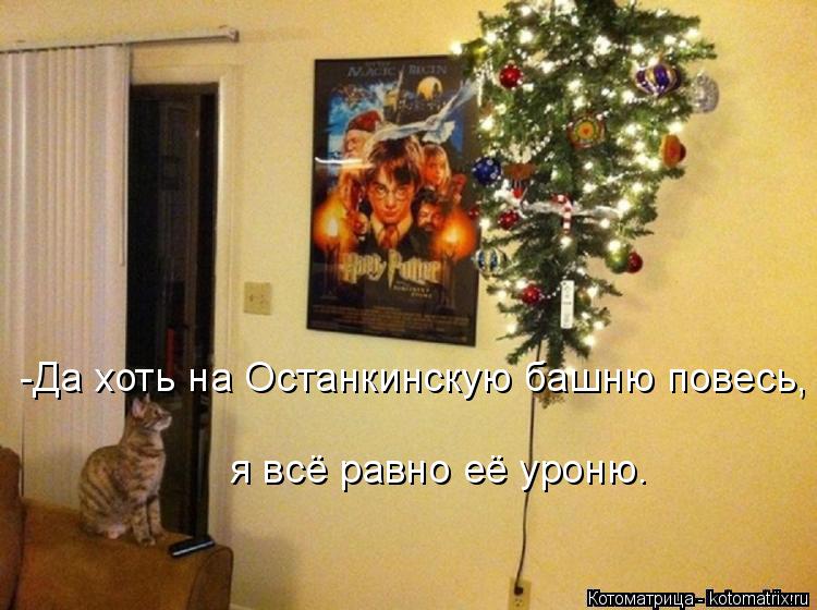 -Да хоть на Останкинскую башню повесь, я всё равно её уроню.... Котоматрица: -Да хоть на Останкинскую башню повесь, я всё равно её уроню.